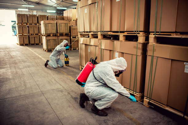 Best Emergency Pest Control  in Walnut Park, CA