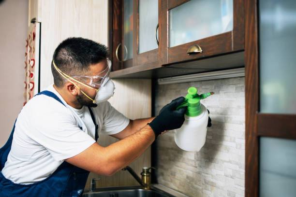 Best Pest Removal Services  in Walnut Park, CA