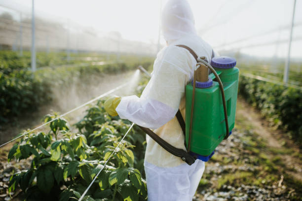 Best Exterminator Services  in Walnut Park, CA